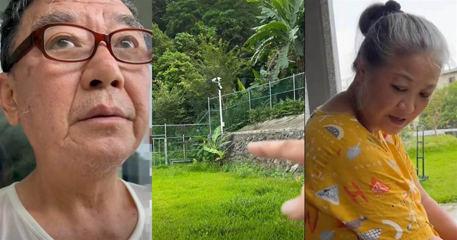 李立群的田園生活：賢妻的熗鍋面，三只小貓相伴，悠閑在山間，網友：這樣的生活太美好
